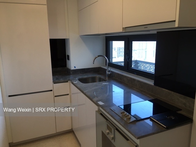 Robinson Suites (D1), Apartment #196112392